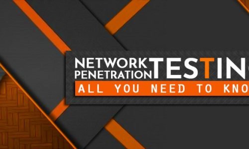 Network Penetration Testing