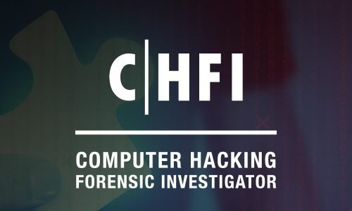 COMPUTER HACKING FORENSIC INVESTIGATOR